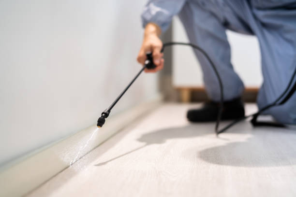 Certified termite inspector examining foundation in West Columbia
