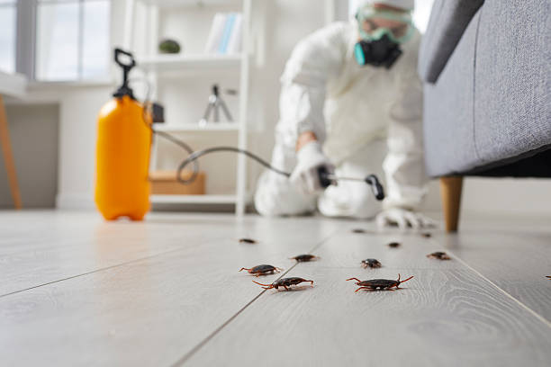 Commercial Rodent Management in West Columbia